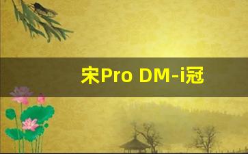 宋Pro DM-i冠军版配置,宋pro dmi冠军版71km领航型